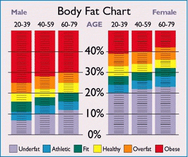 מדידת אחוזי שומן