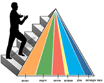 food-pyramid_new